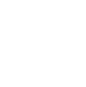 Icon_Unsere_Werte_white.png