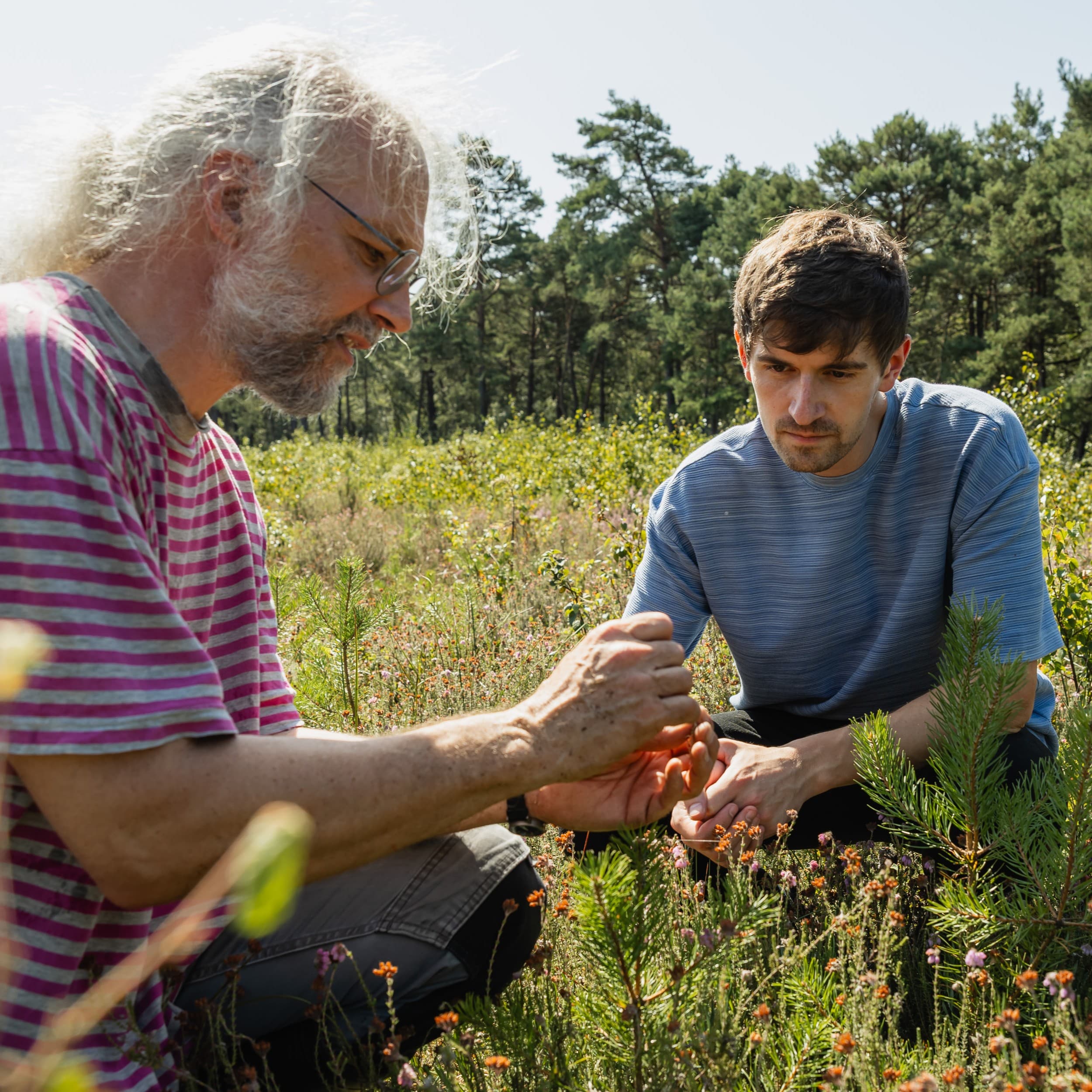 Zwei Männer hocken auf einer Wiese und schauen sich kleine Pflanzen an